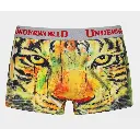 Pasha-Bhai-Tiger-Boxer.webp