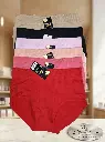Hanyaqiao Ladies under garments