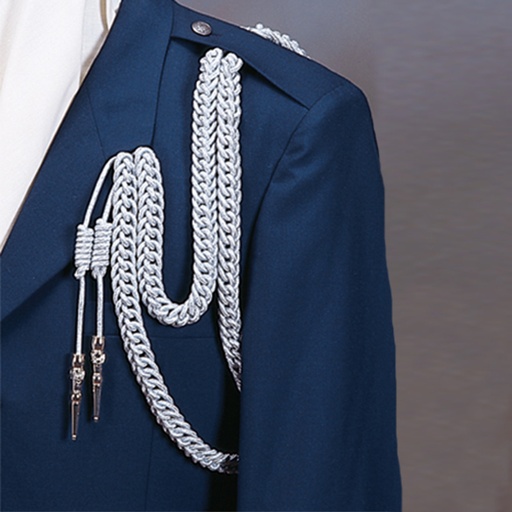 Aiguillette Police