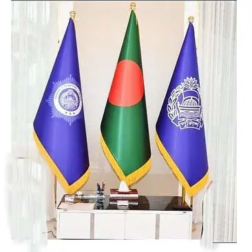 Digital Flag BKup